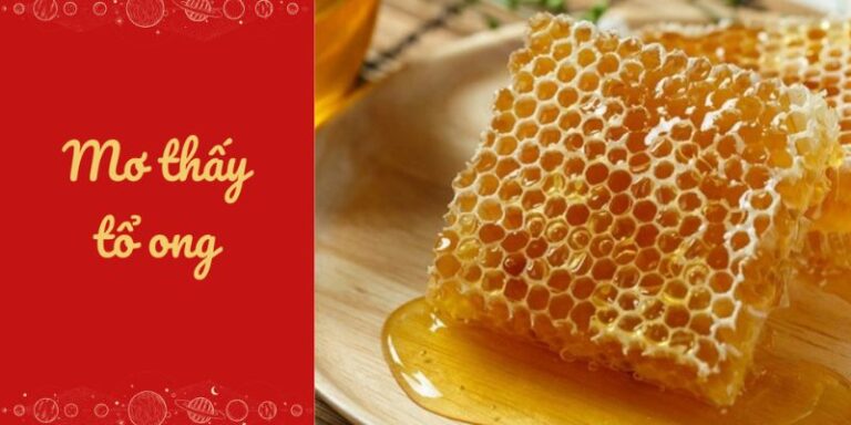 Điềm báo mộng ong đuổi Điềm báo mộng ong đuổi